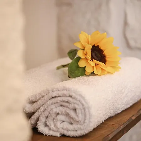 Domus Petra 104 Bed and Breakfast