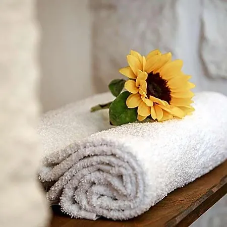 Bed & Breakfast Domus Petra Civico 104 Ceglie Messapica